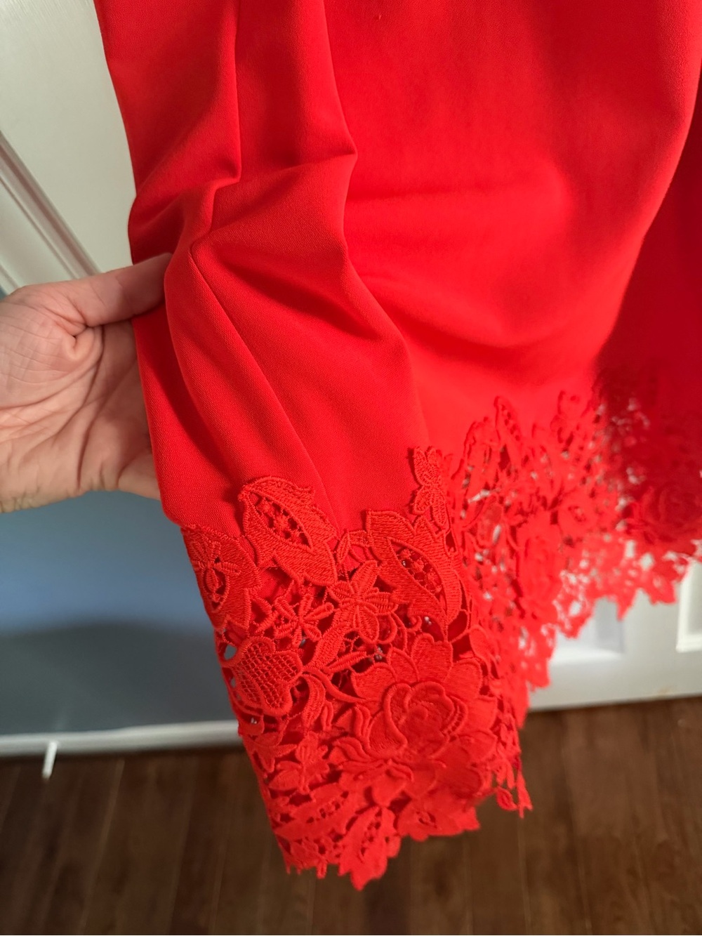 Lela Rose Vibrant Red Sleeveless Tie-Waist Maxi Dress - Picture 11 of 11